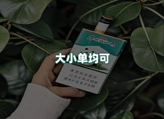 核心优势